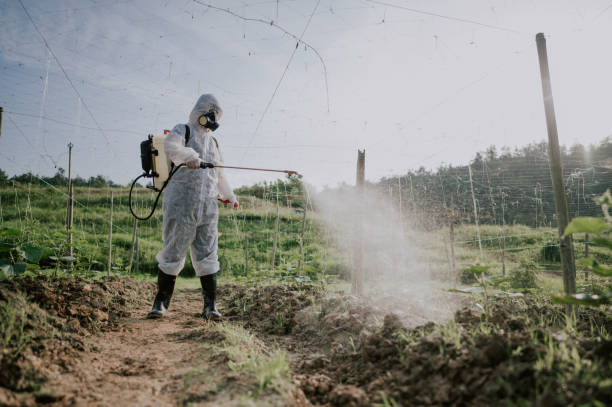 Best Best Pest Control Companies  in Remlap, AL